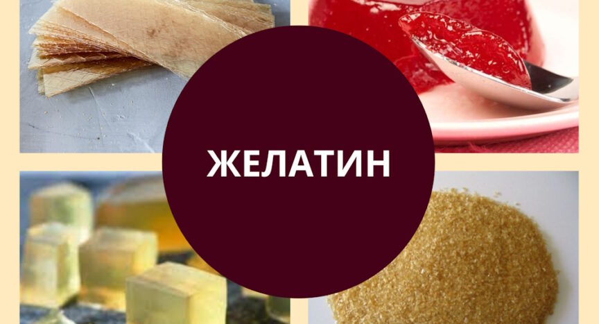 желатин в десертах