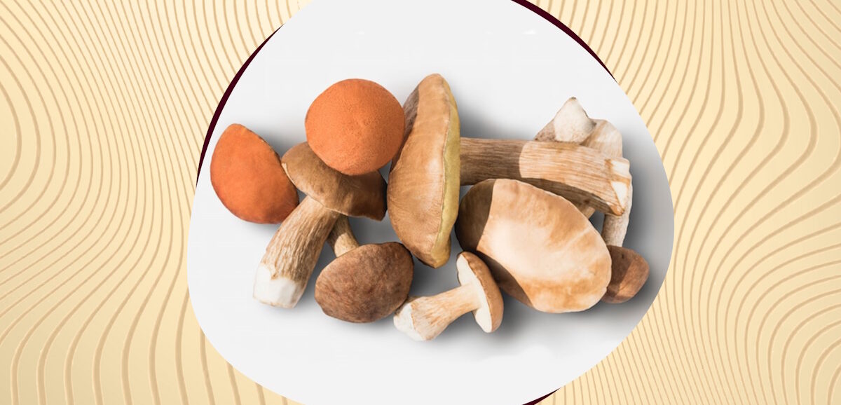 рецепты с грибами