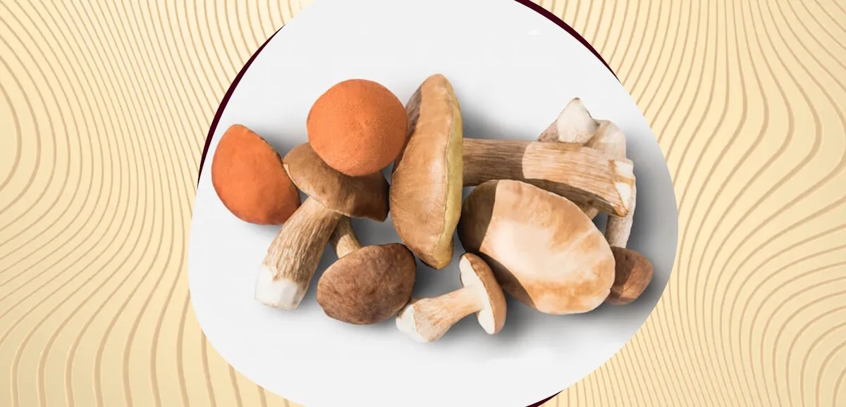 рецепты с грибами